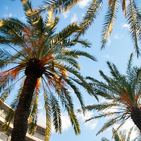 Rhodes Hotel Rhodes City