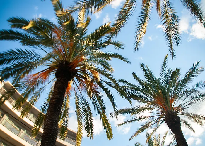 Rhodes Hotel Rhodes City